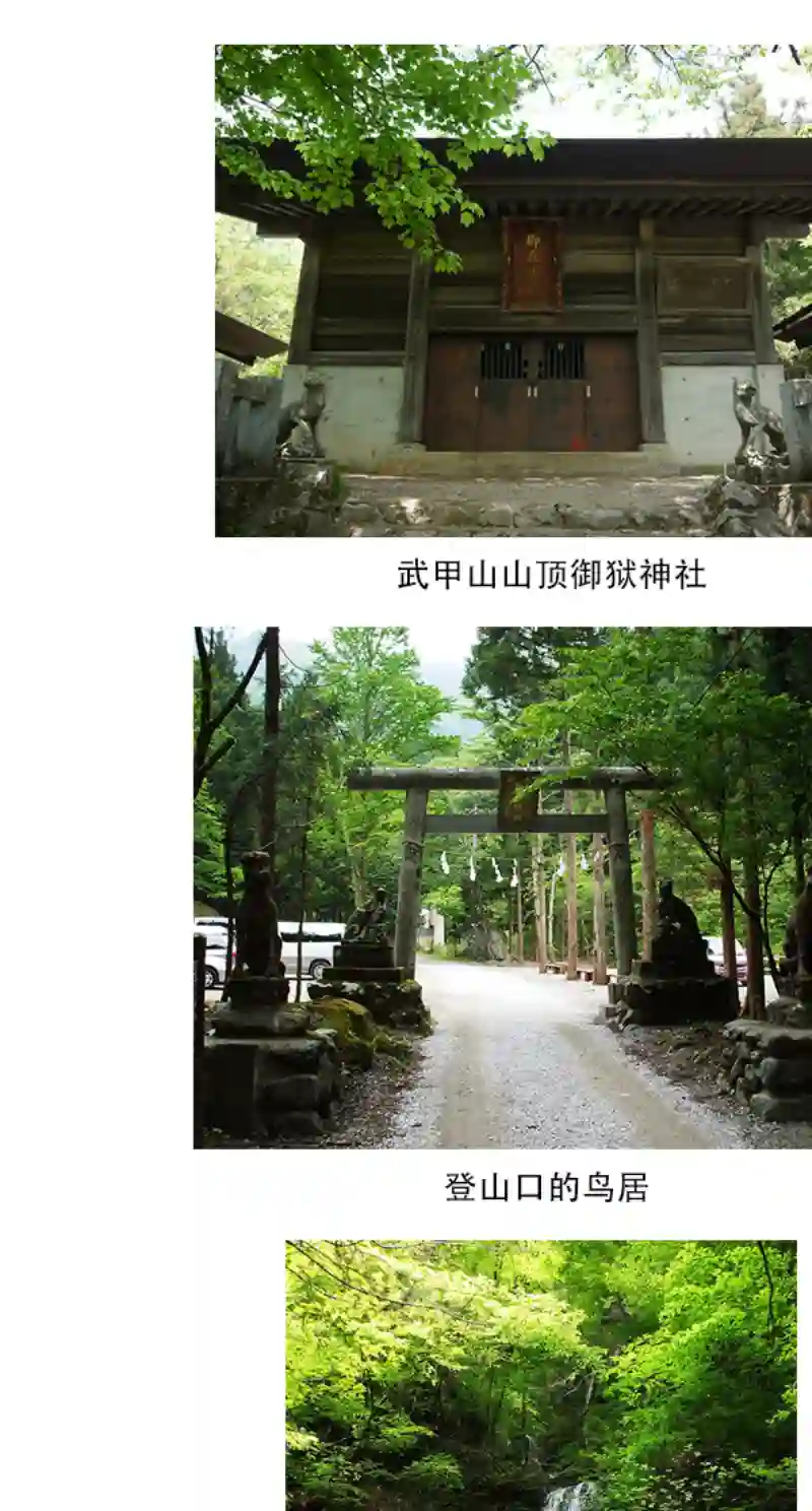 上伊那牡丹，酒醉身姿似百合花般第19话