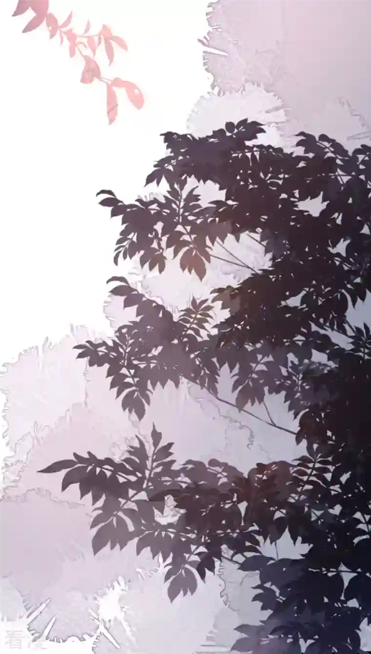 阴影悖论：无法拥有的你第20话 孤独的江小姐