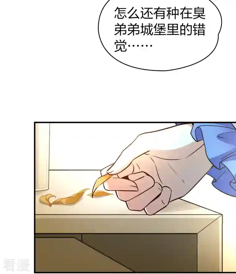 寻找前世之旅第2季第133话 向日葵花语5