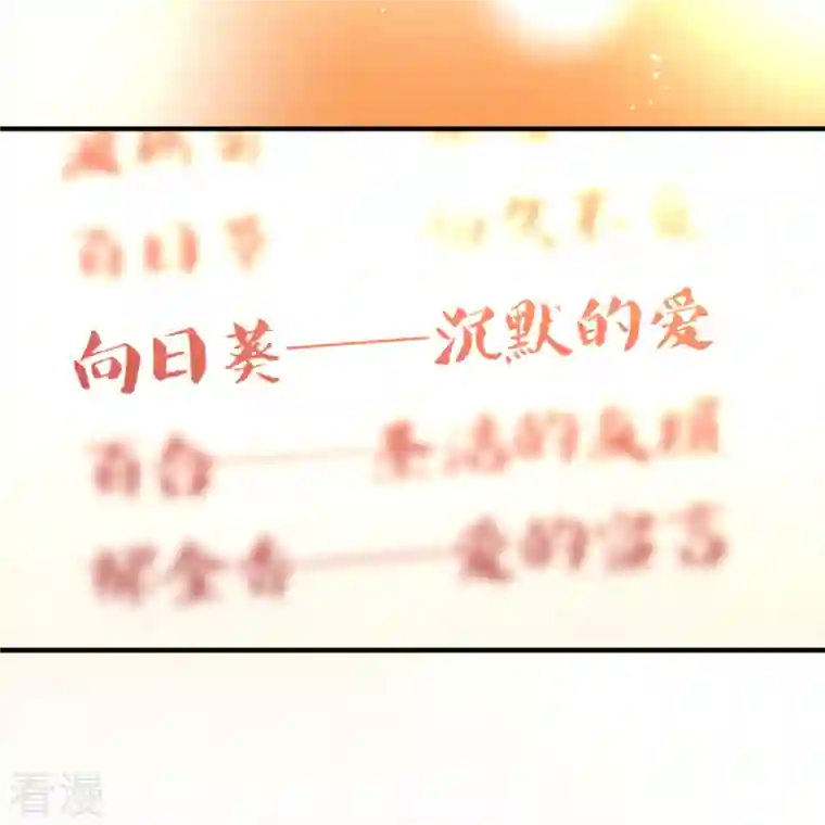 寻找前世之旅第2季第133话 向日葵花语5