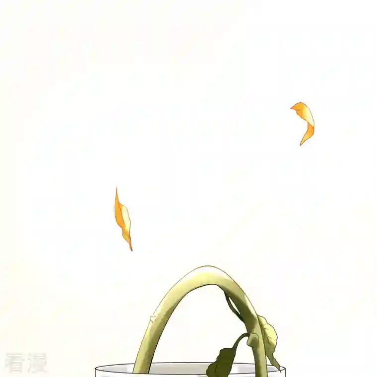 寻找前世之旅第2季第133话 向日葵花语5