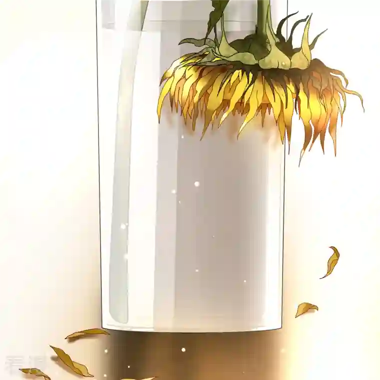 寻找前世之旅第2季第133话 向日葵花语5