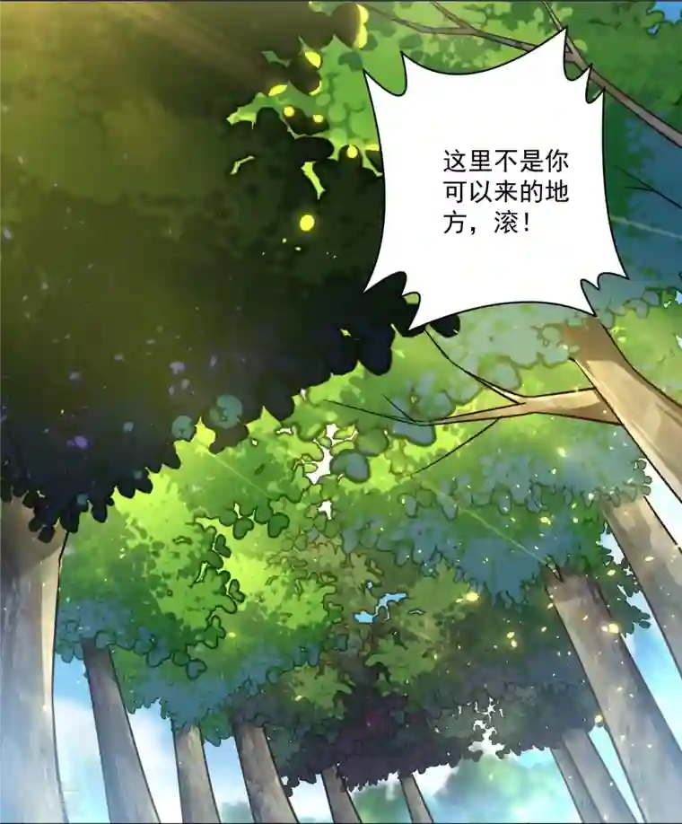 逆天战神第315话 八荒幽林