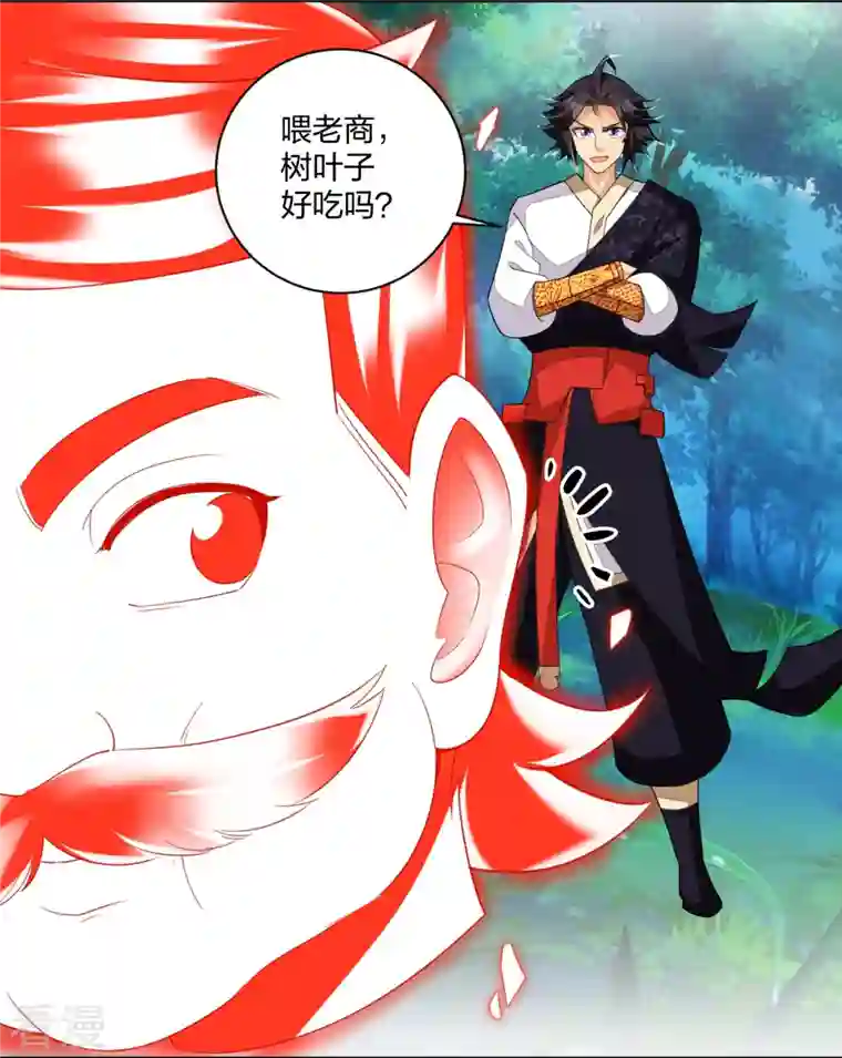 逆天战神第315话 八荒幽林