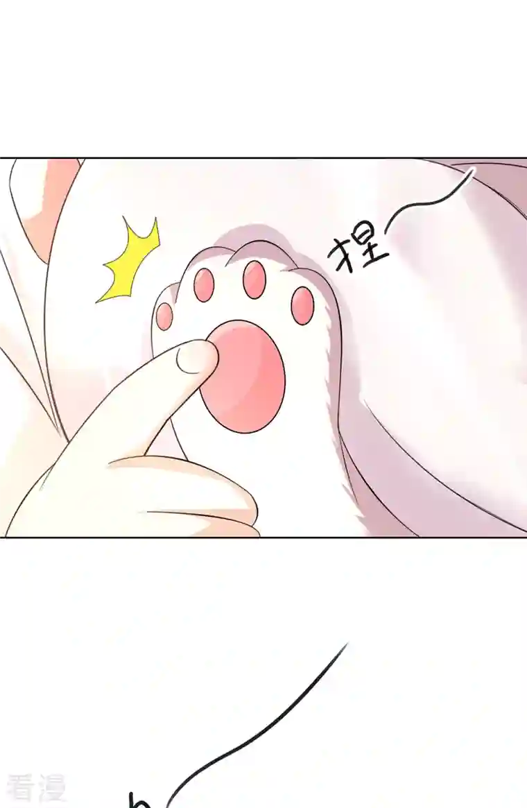 我在异界养男神：神医九小姐第188话 慢走不送