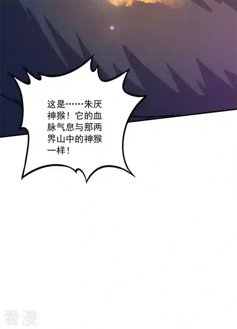 最强神医混都市第268话 绝不能让他们如愿