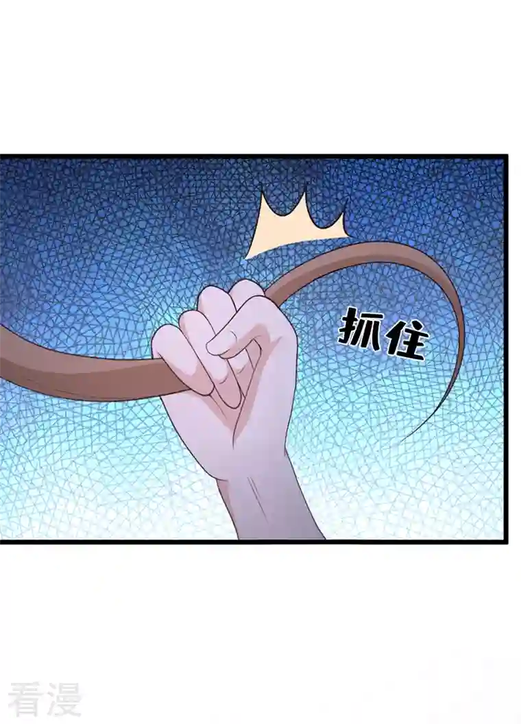 兽黑狂妃第160话 你的命，值多少灵石