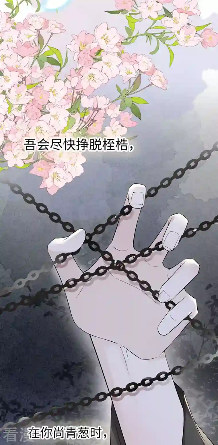 太后裙下臣第149话 先帝的情书
