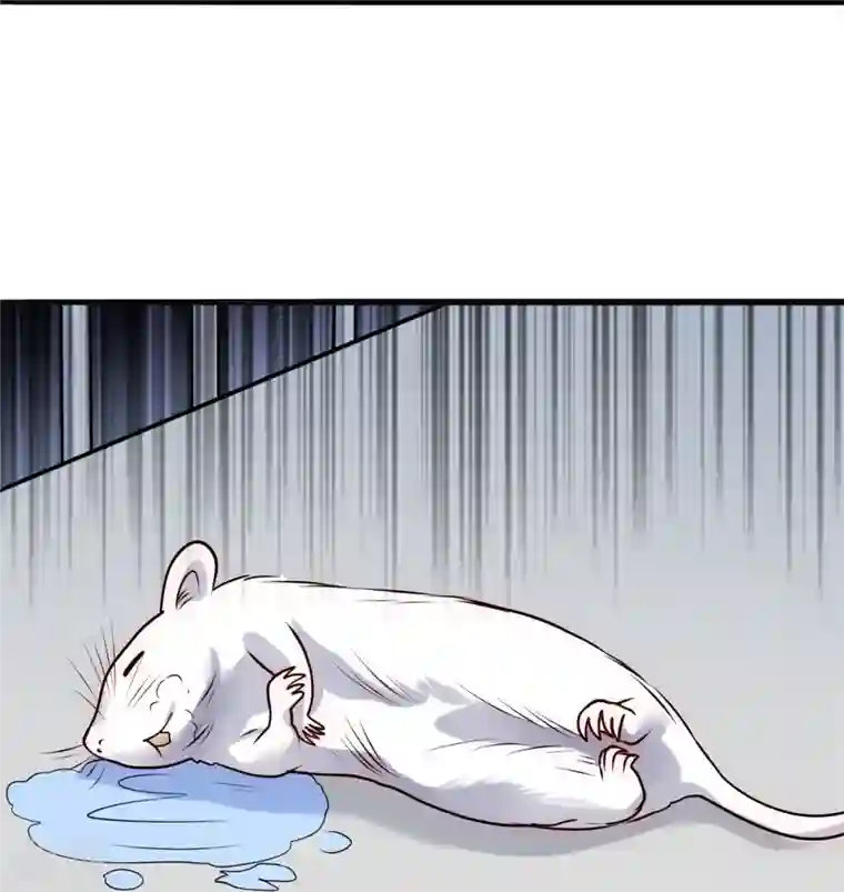 都市之逆天仙尊第272话 最终胜利