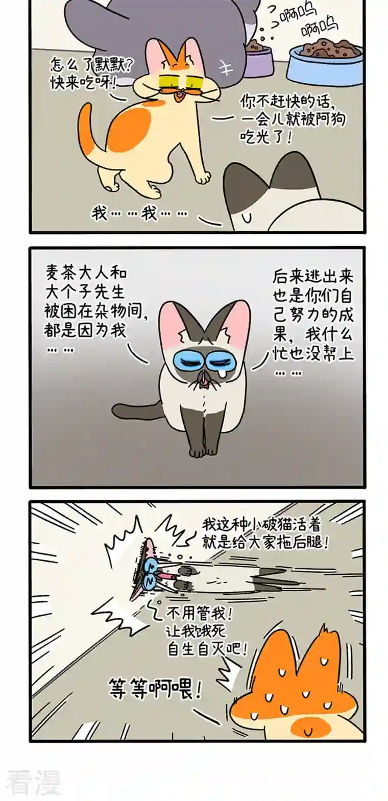 阿满和麦茶第79话 默默是大功臣
