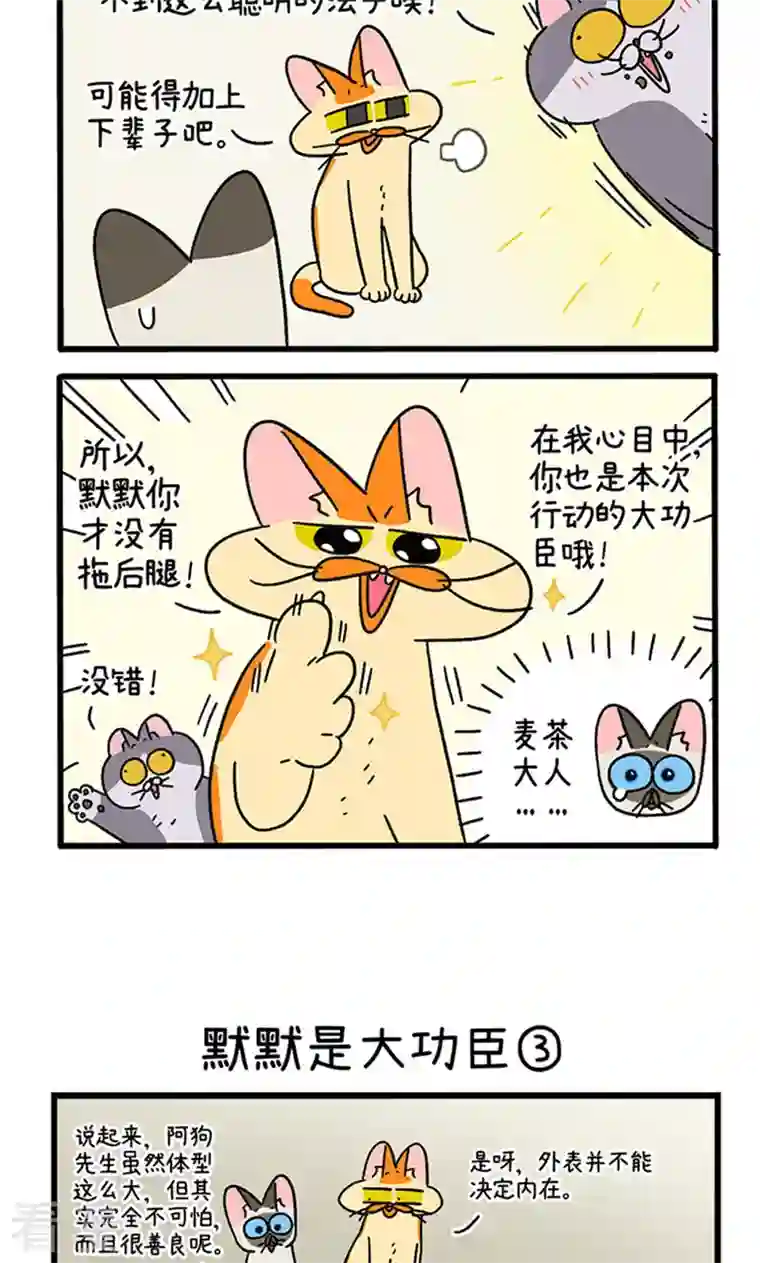 阿满和麦茶第79话 默默是大功臣