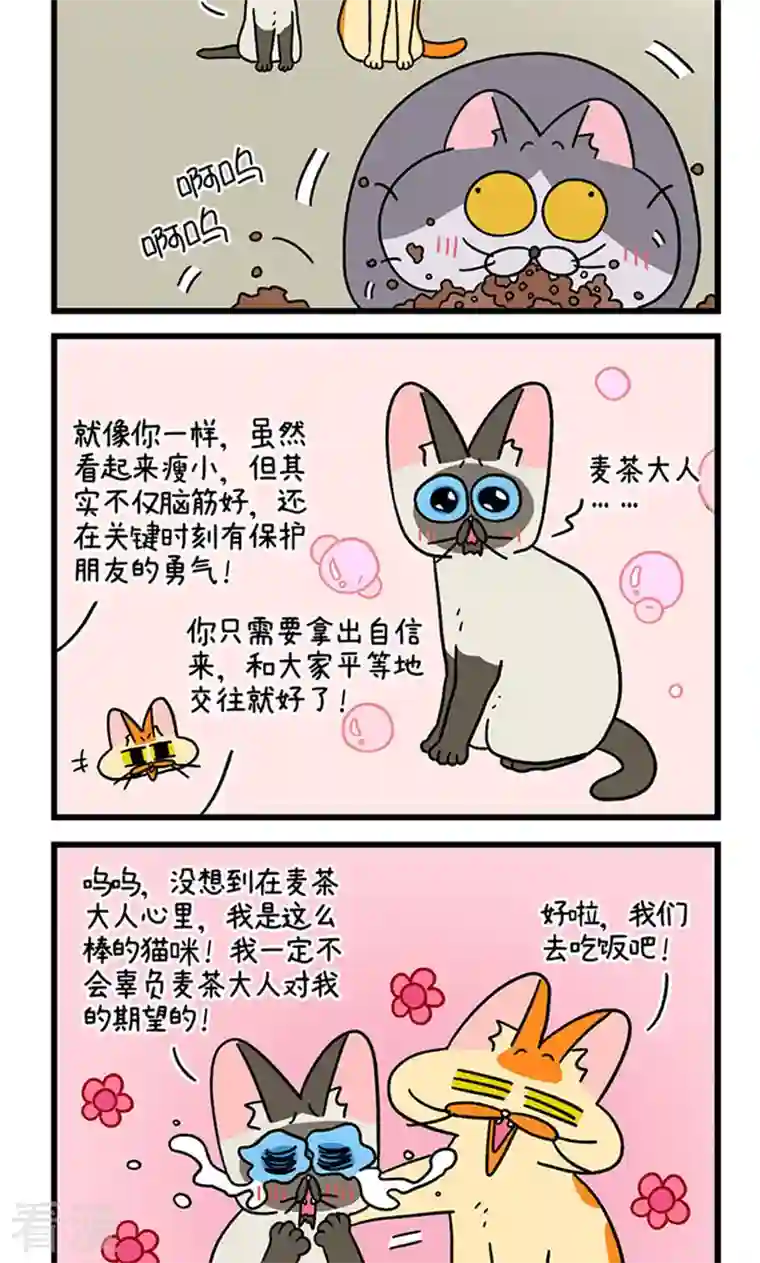 阿满和麦茶第79话 默默是大功臣