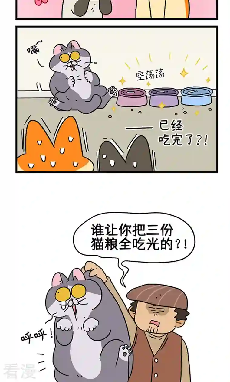 阿满和麦茶第79话 默默是大功臣