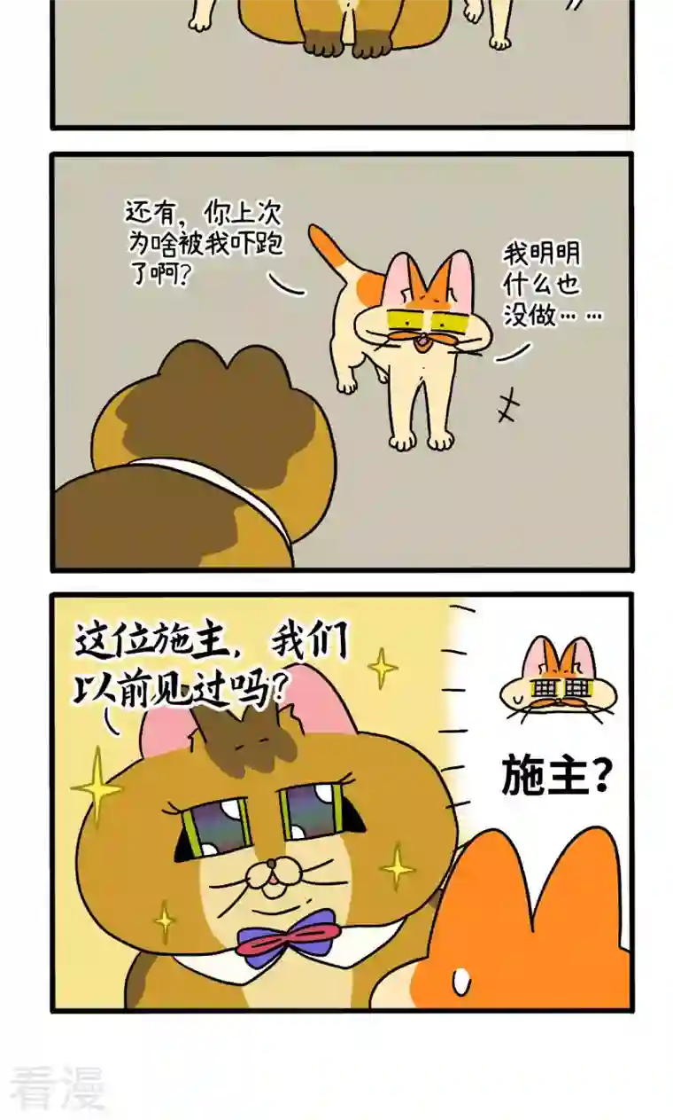 阿满和麦茶第81话2 帅哥悟了2