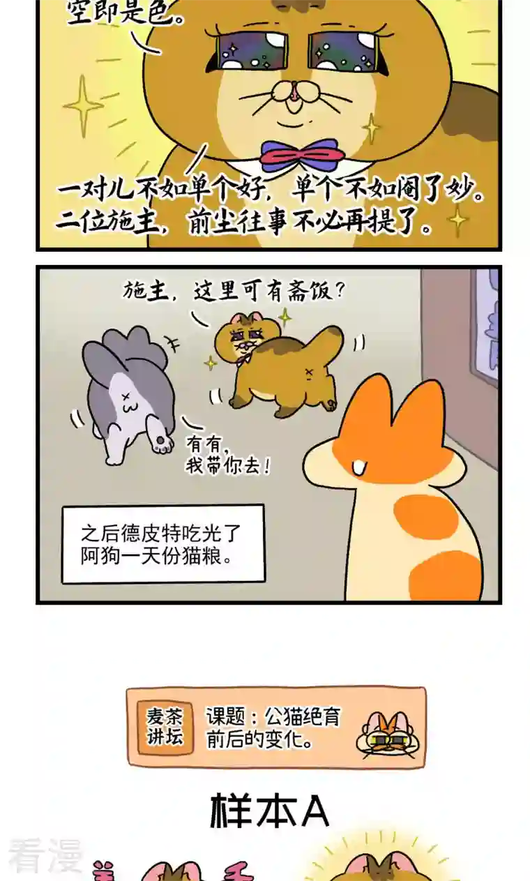阿满和麦茶第81话2 帅哥悟了2