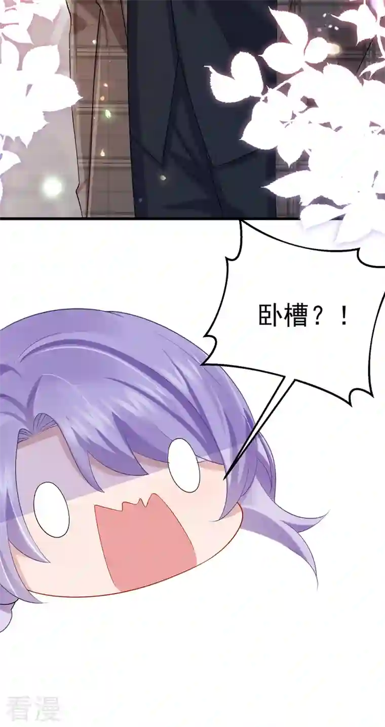 我的萌宝是僚机第49话 五亿的项目，了解下