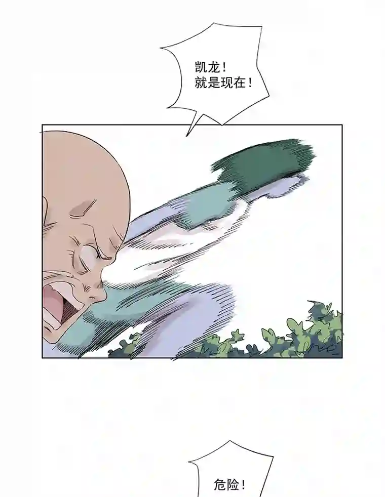 神之一脚第三百二十六波 求偶