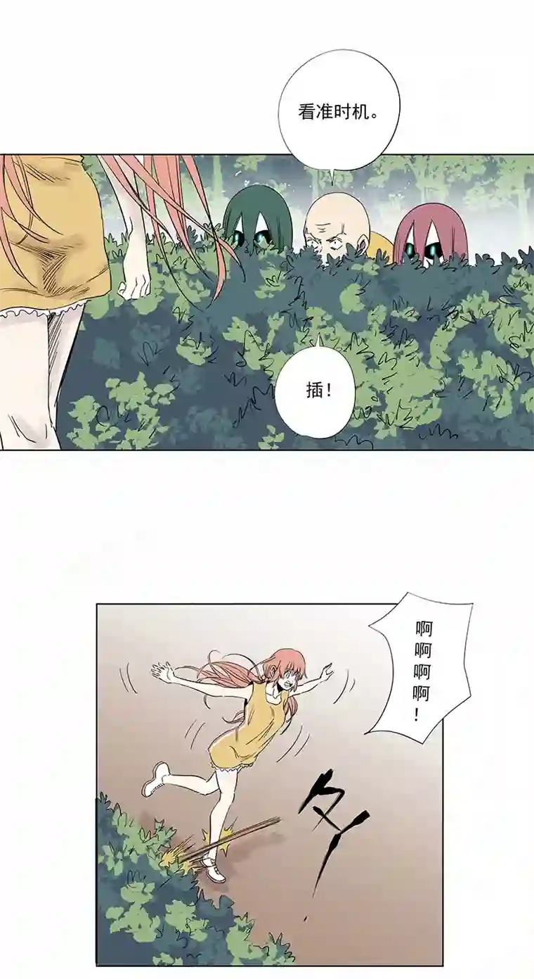 神之一脚第三百二十六波 求偶（二）