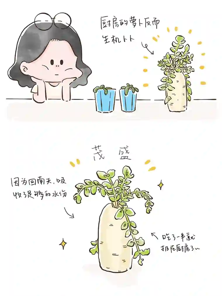 好想拥有十个亿日常汇总1