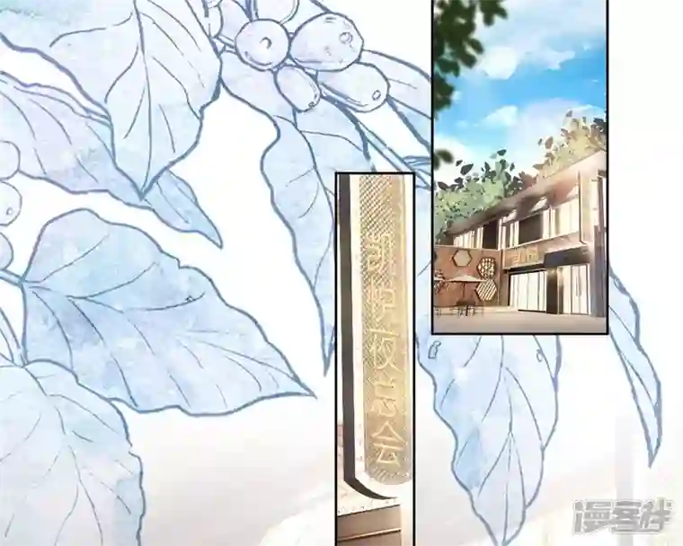 最豪赘婿 龙王殿第211话 深入虎穴