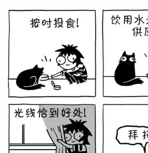 莎拉的涂鸦第156话