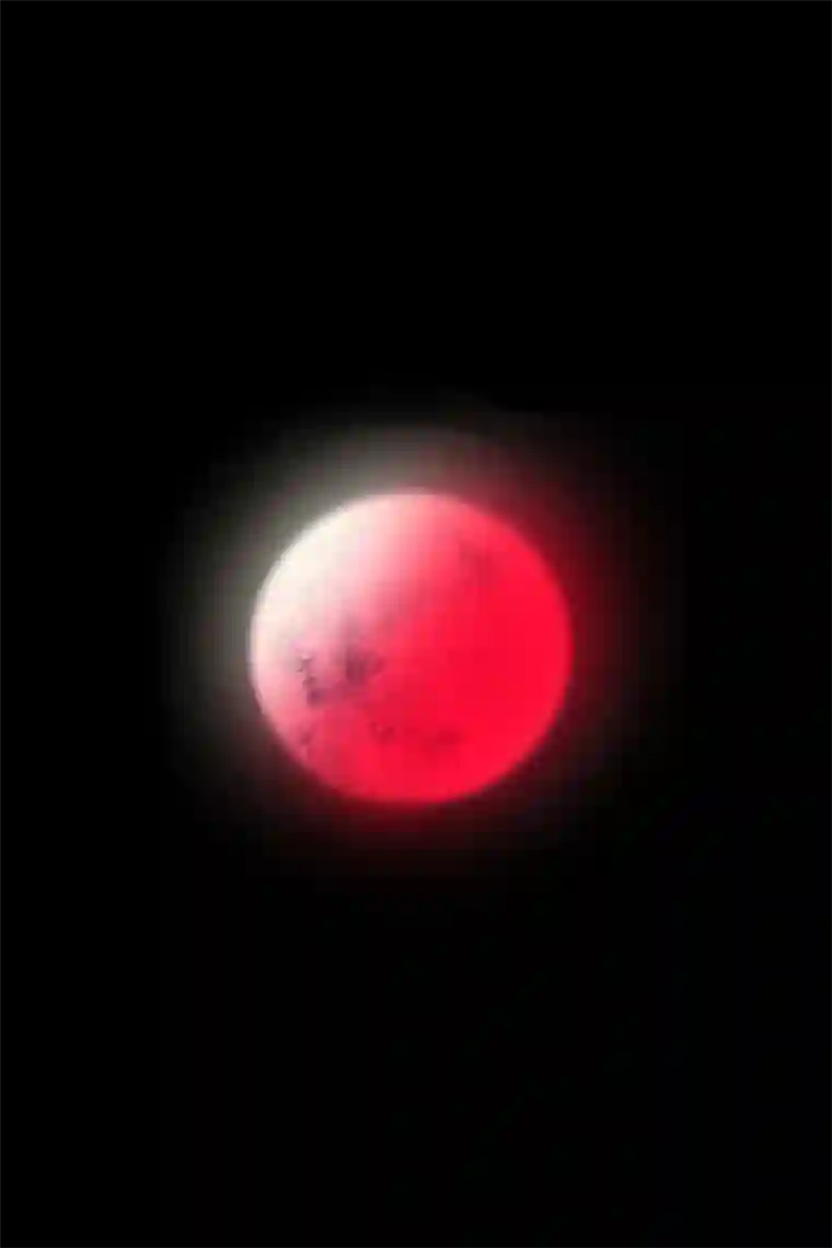 苍儿，为师在这。第二十五话 初遇