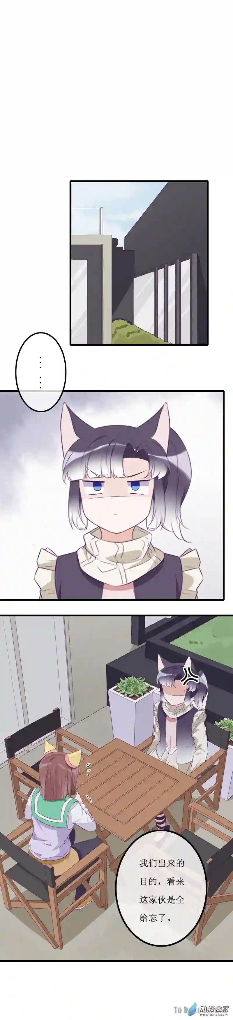 猫里狗气16 欢欢2