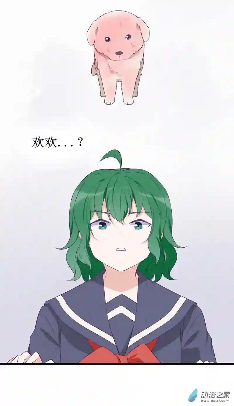 猫里狗气16 欢欢2