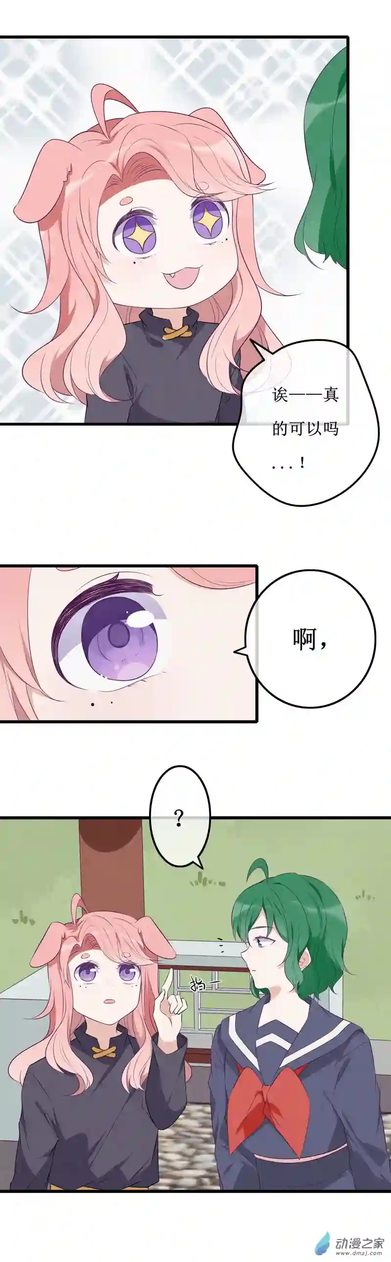 猫里狗气17 欢欢3