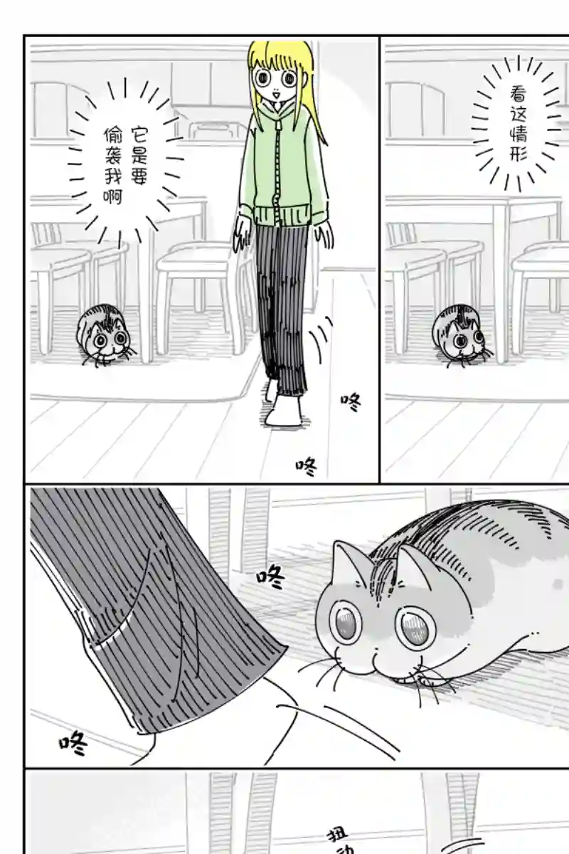 关于养猫我一直是新手第109话