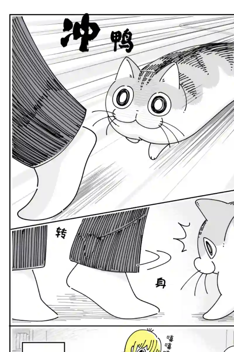 关于养猫我一直是新手第109话