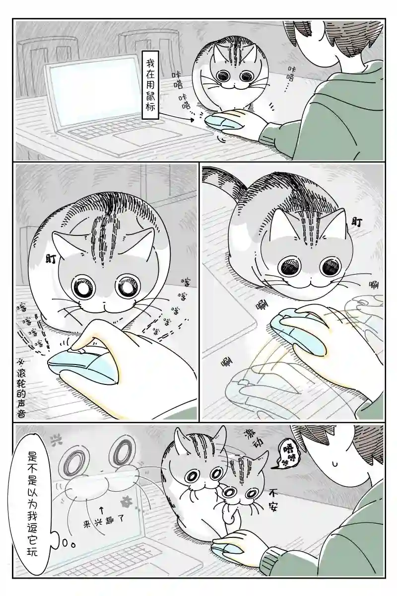 关于养猫我一直是新手第111话
