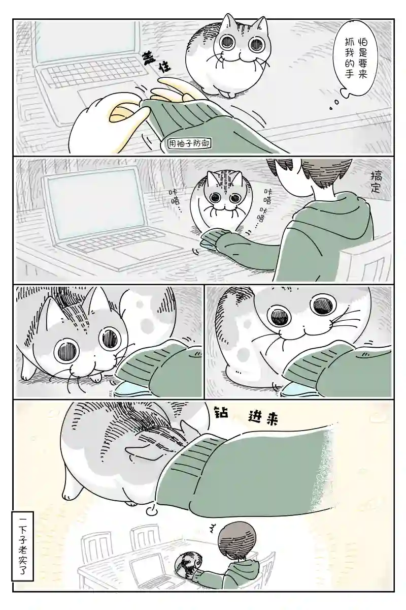 关于养猫我一直是新手第111话