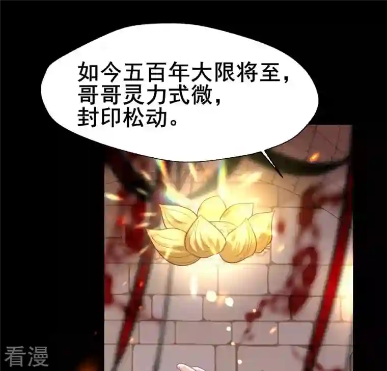 我的血族大人第212话 为哥哥献上一切