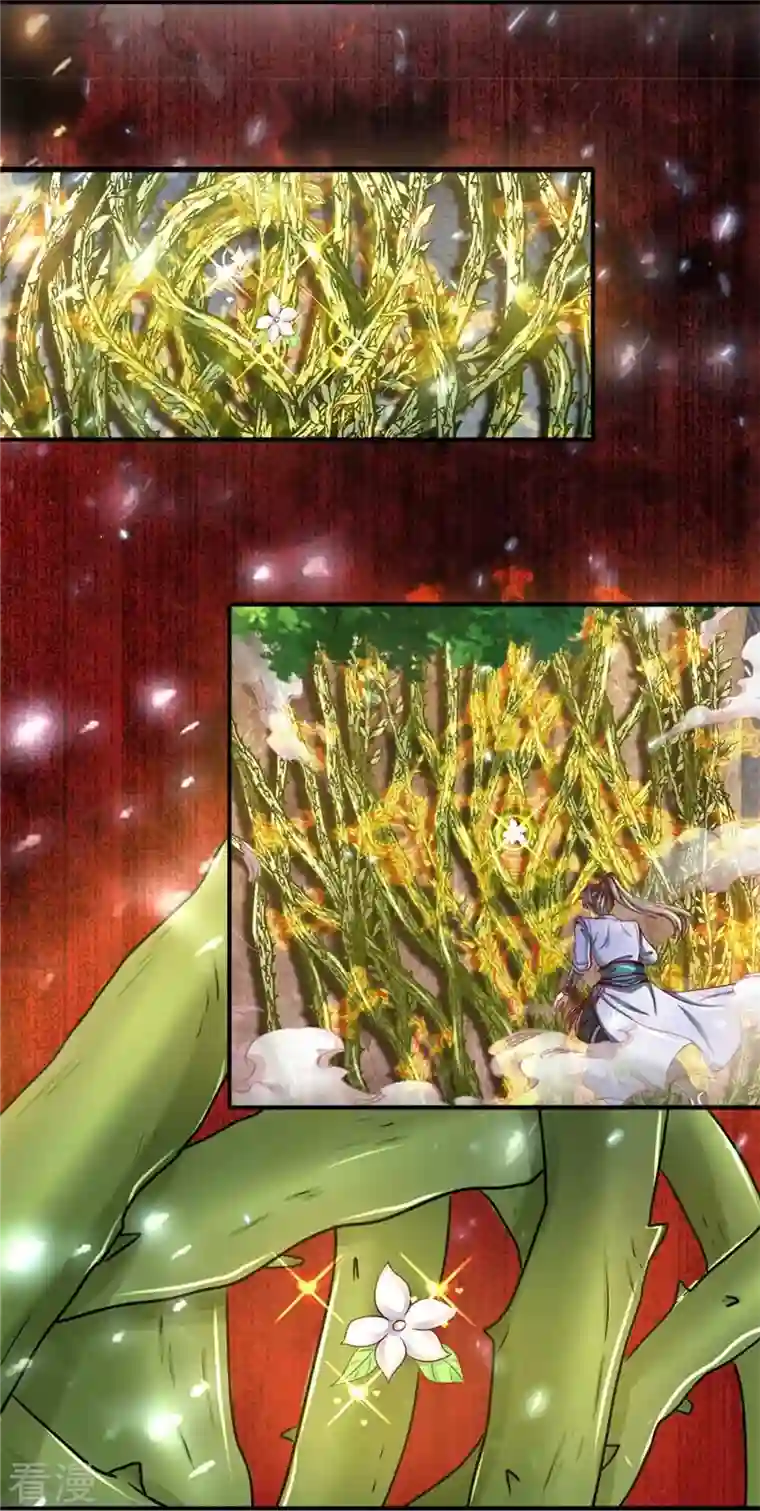 逆天剑神第517话 一场豪赌，努力修炼