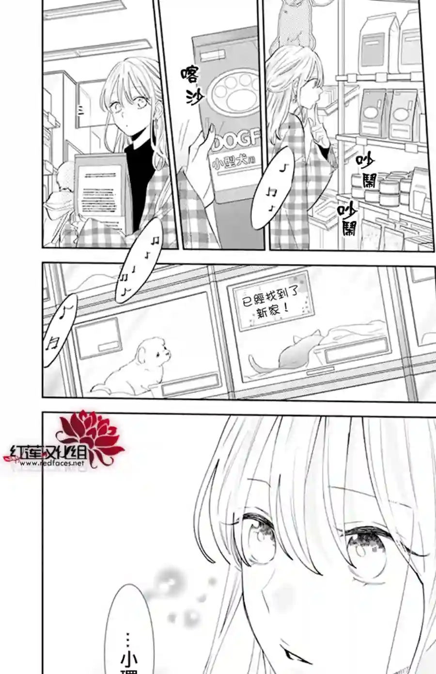 野猫与狼第11话