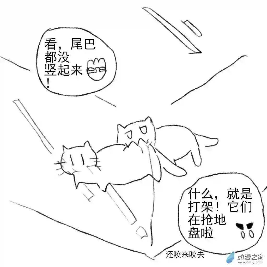 和你宇宙第一好16 猫猫的争执