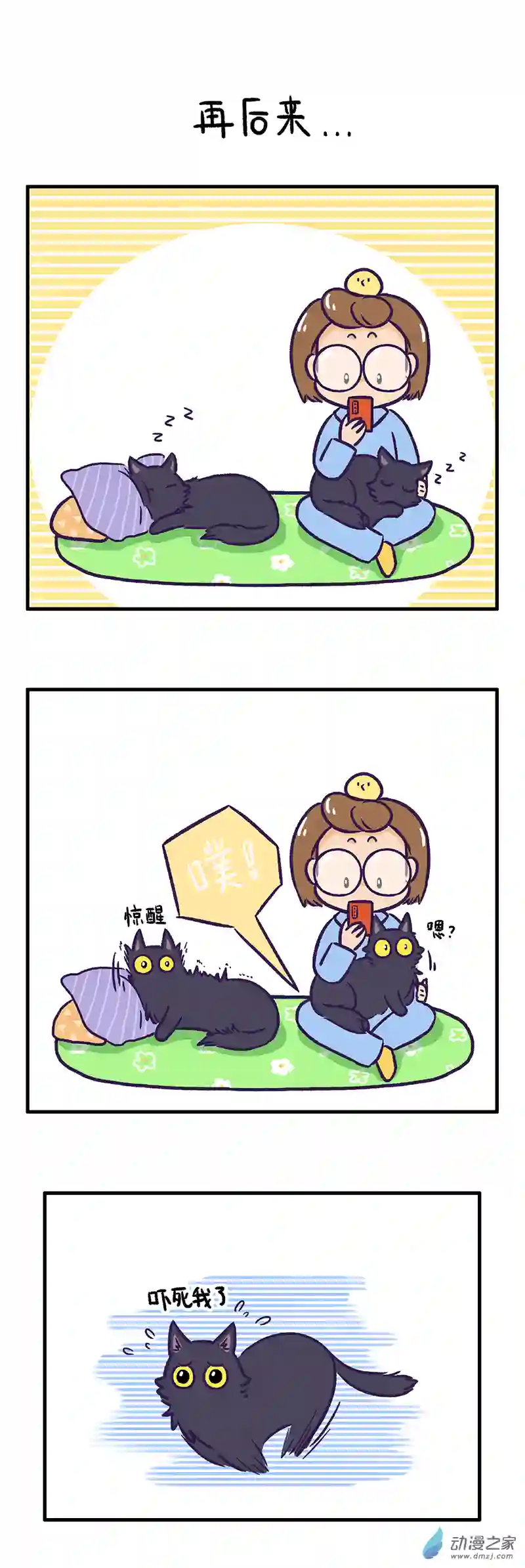 我养的可能不是猫，是...第04话 大黑？小黑？