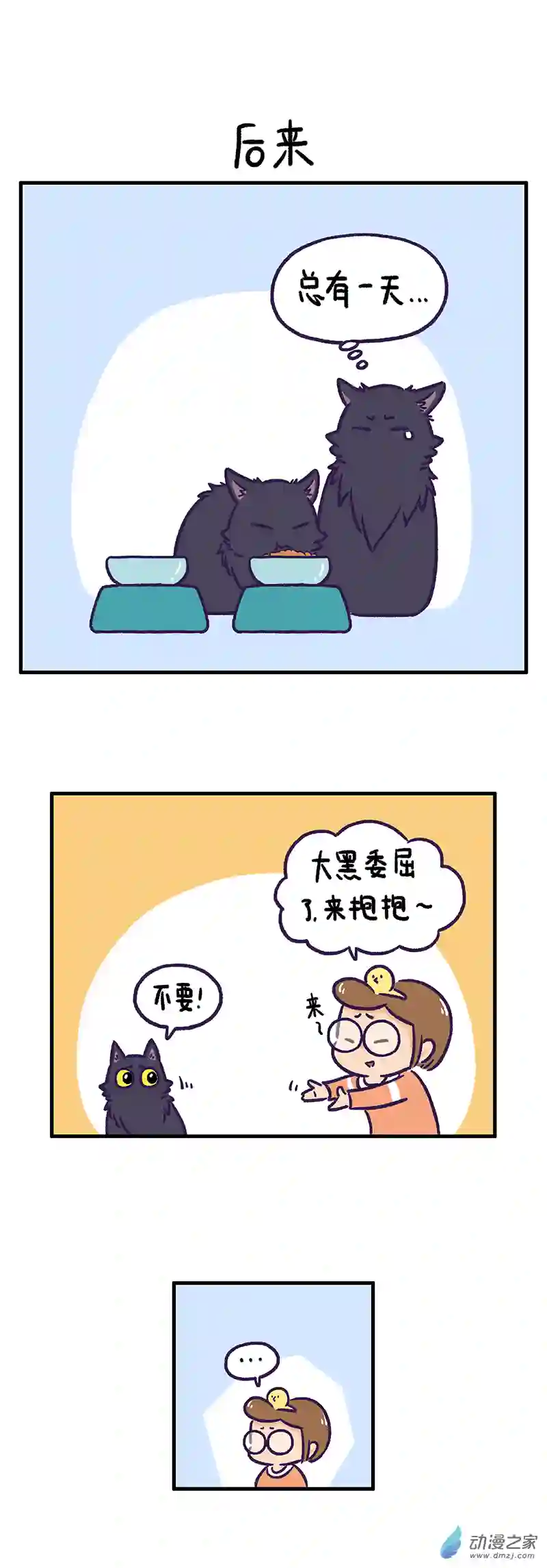 我养的可能不是猫，是...第05话 家中小霸王