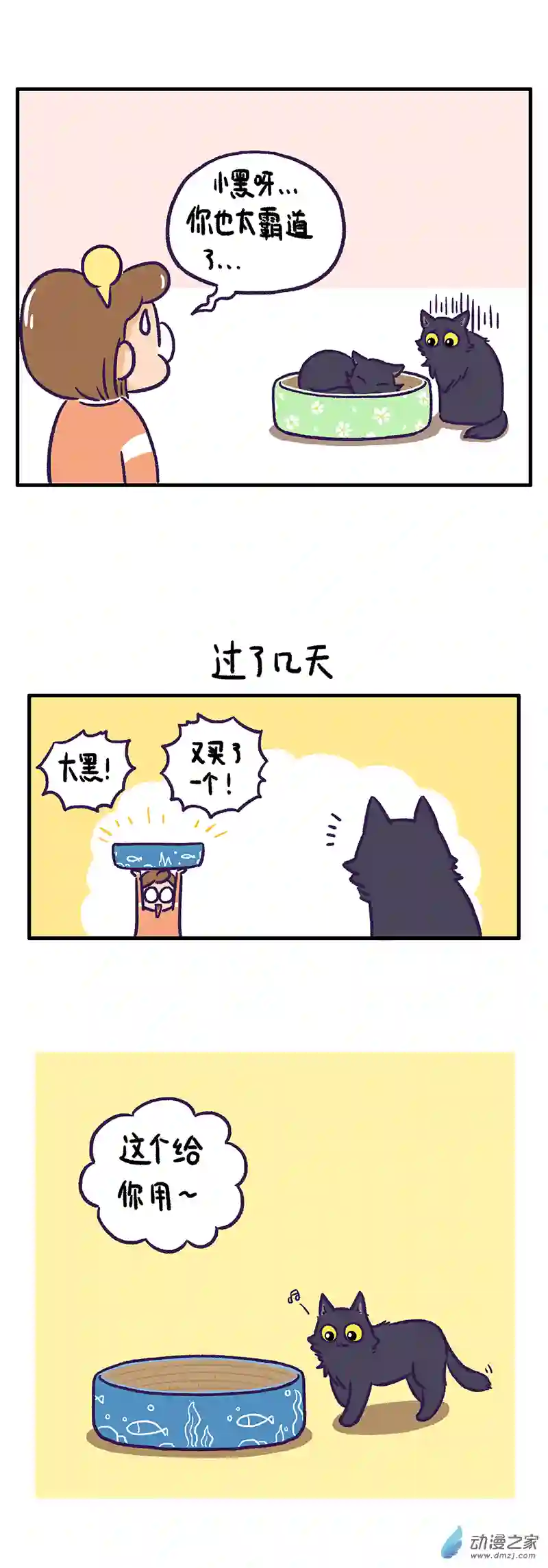 我养的可能不是猫，是...第05话 家中小霸王