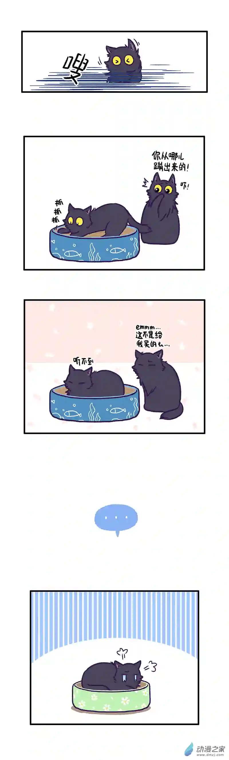 我养的可能不是猫，是...第05话 家中小霸王