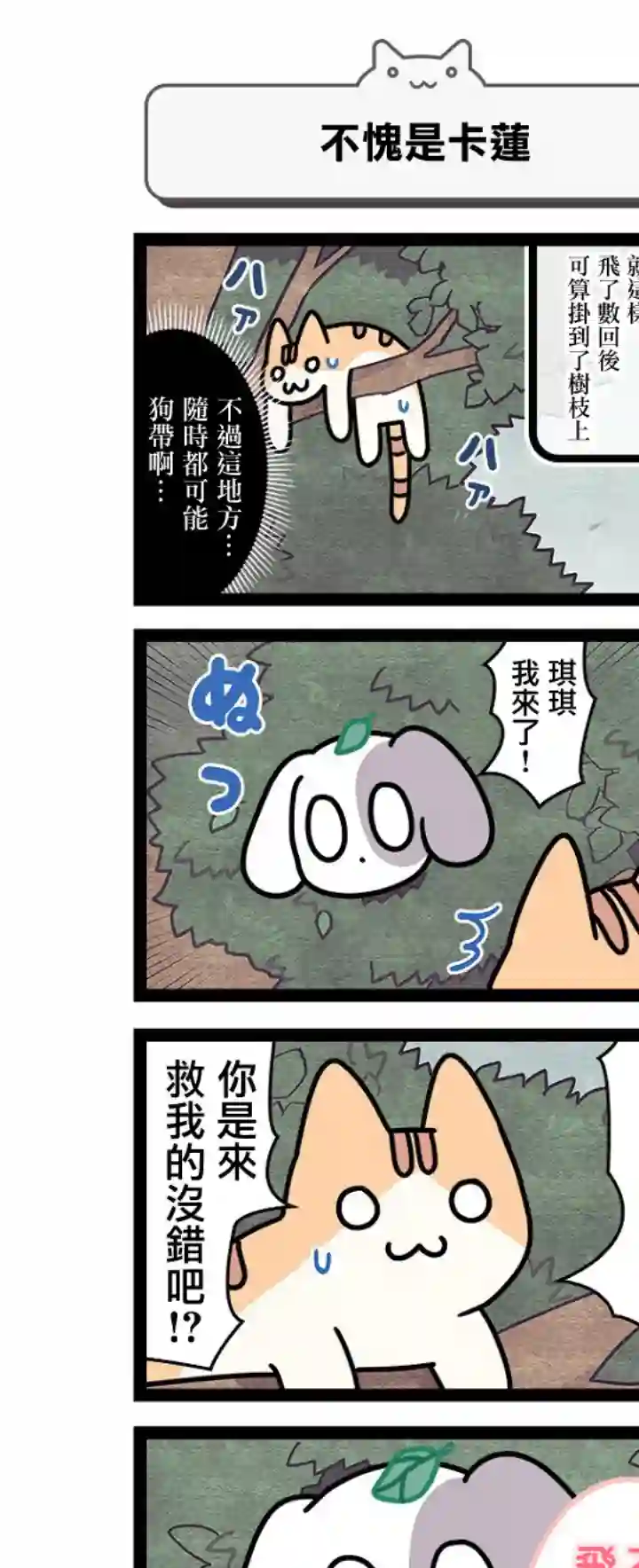 地球的主人是猫喵第11话