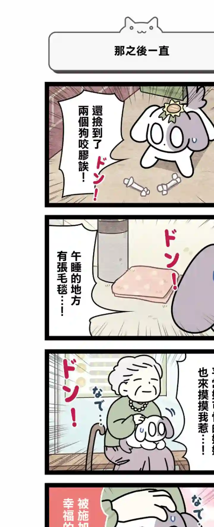 地球的主人是猫喵第12.5话