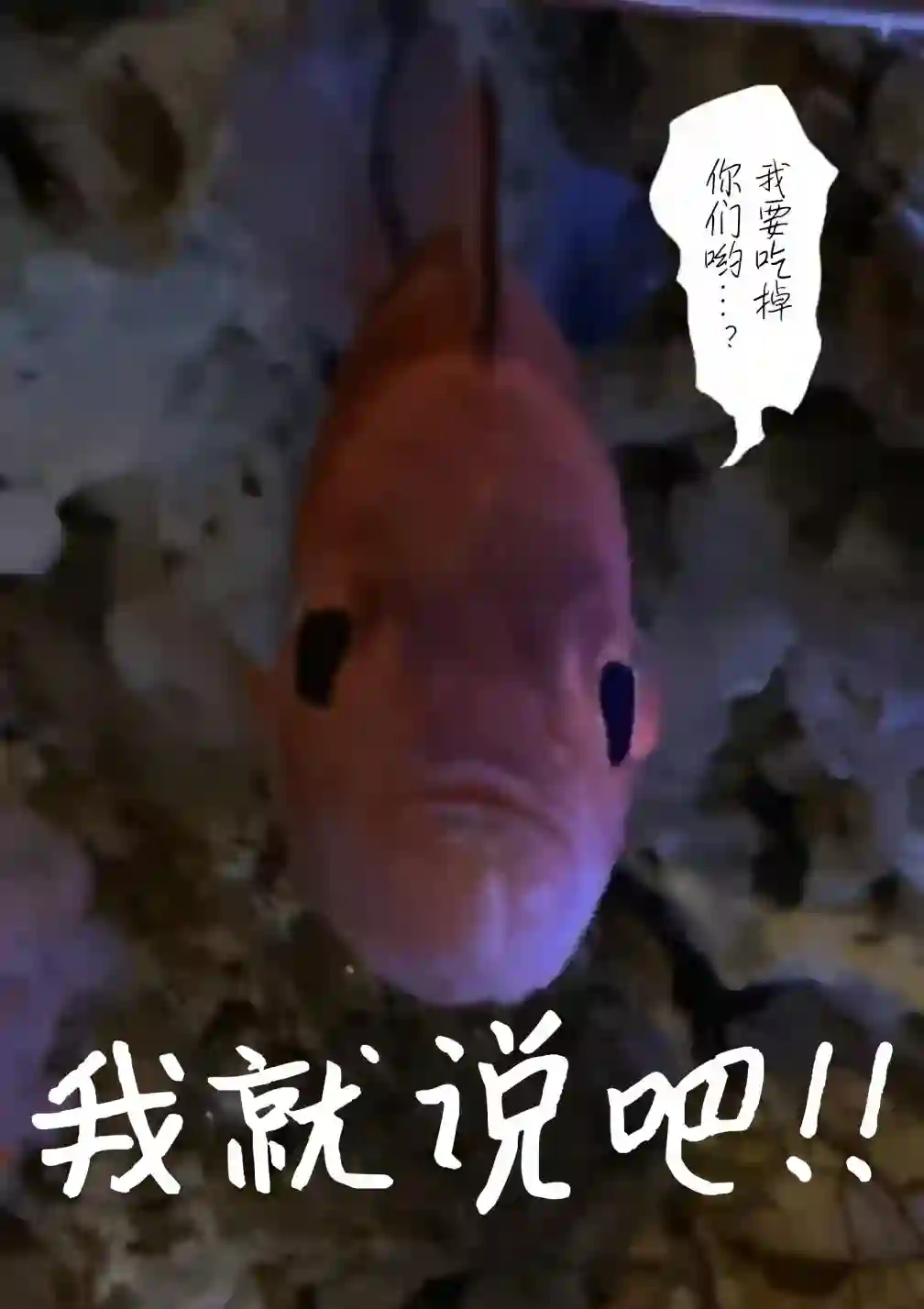 灰色兼职：逃亡禁止第22话