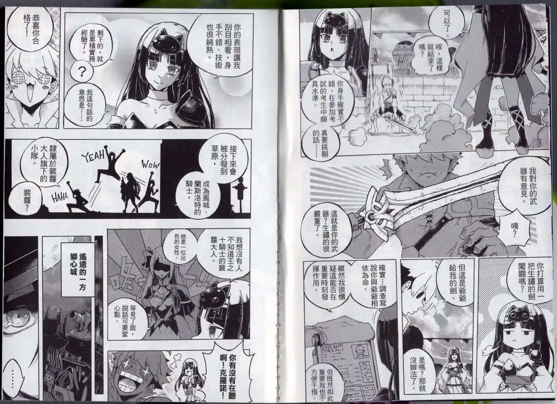 王领骑士第02卷