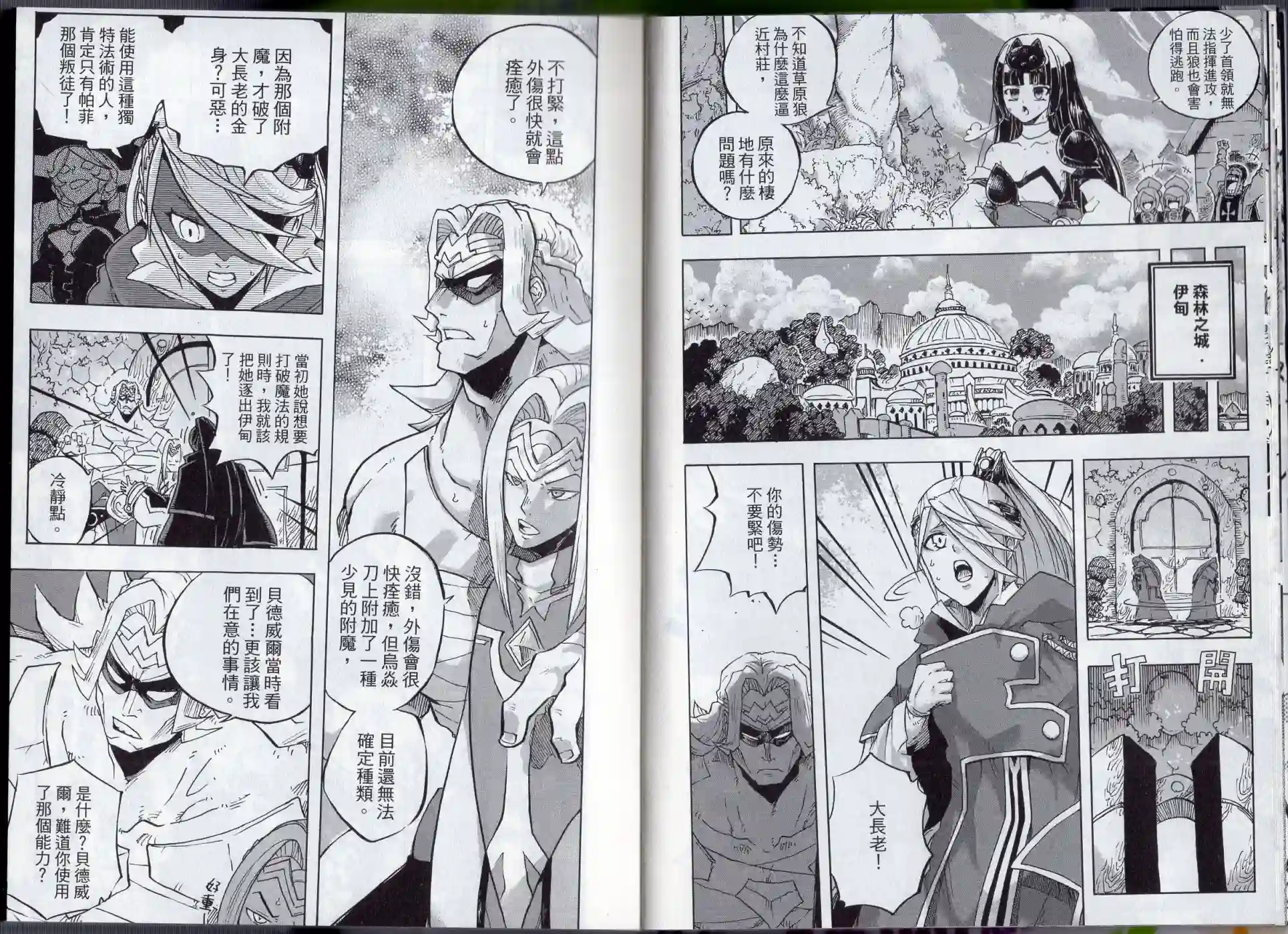 王领骑士第02卷