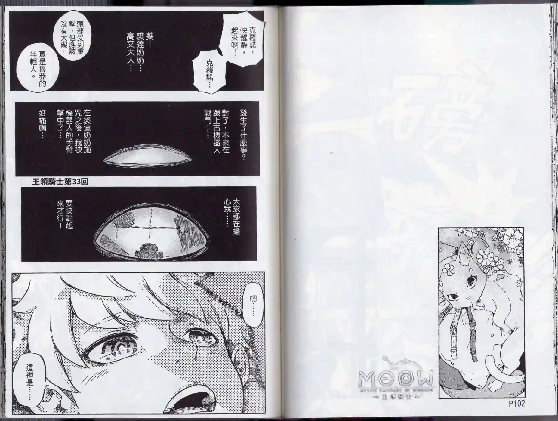 王领骑士第02卷