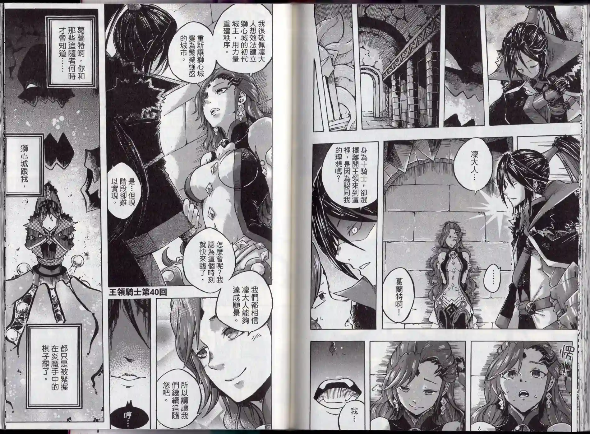 王领骑士第02卷