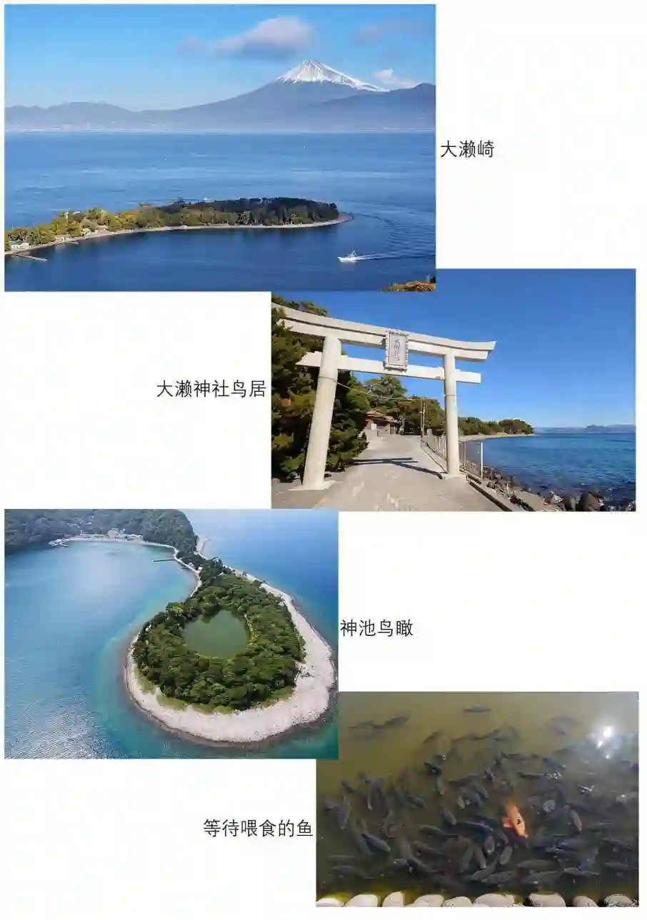 摇曳露营△第43话