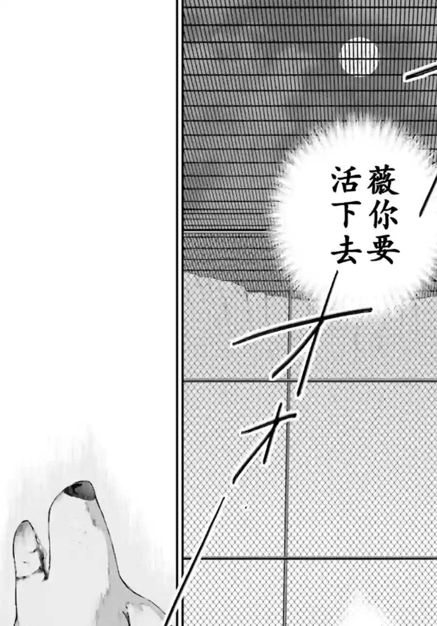金色的文字使第13话